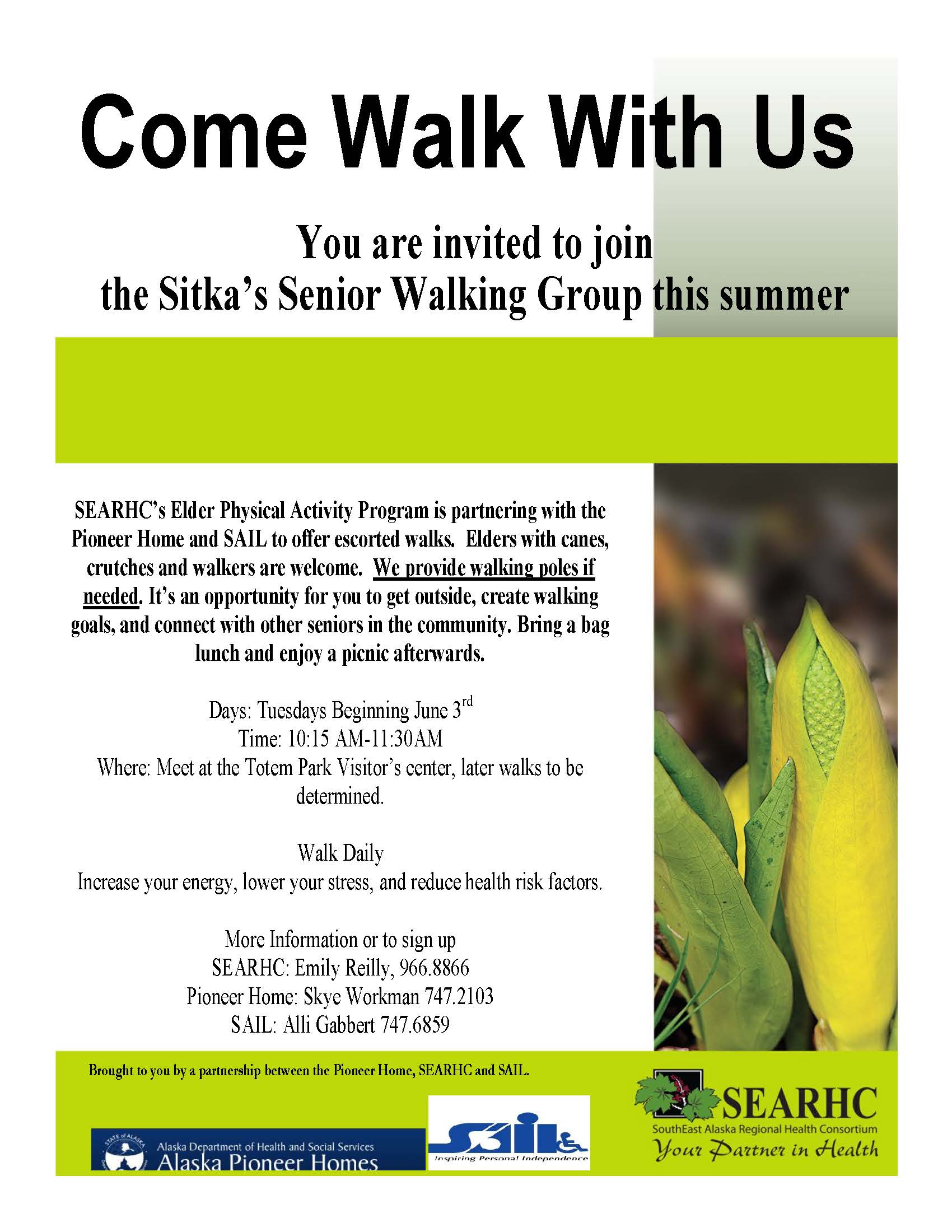 Beginning Walking Program For Seniors